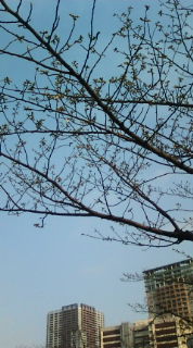 20100316071514.jpg