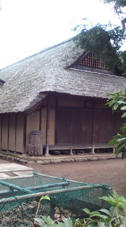 20100317081352.jpg