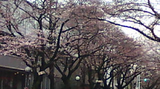 20100326092206.jpg