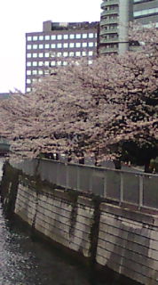 20100402073912.jpg