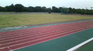 20100522180827.jpg