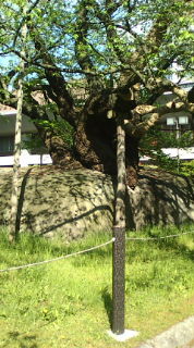 20100515145413.jpg