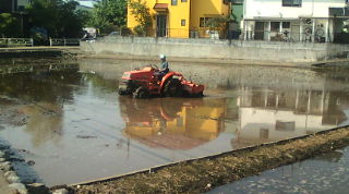 20100610082714.jpg