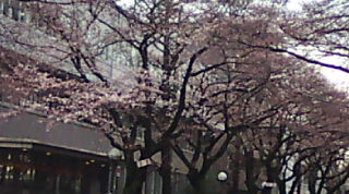 20100326092304.jpg