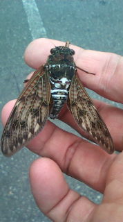 20100712093620.jpg