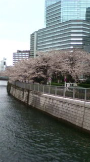 20100402073856.jpg
