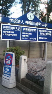 20100218162955.jpg