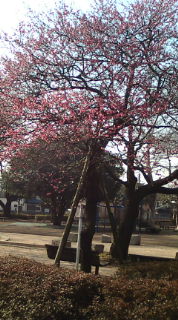 20100224092958.jpg