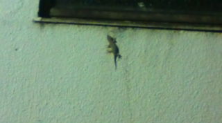 20100822204107.jpg
