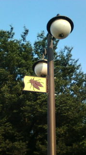 20100824165253.jpg