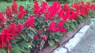 20100816170651.jpg
