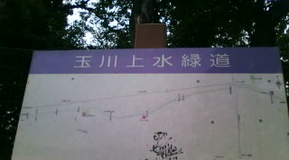 20100915164957.jpg
