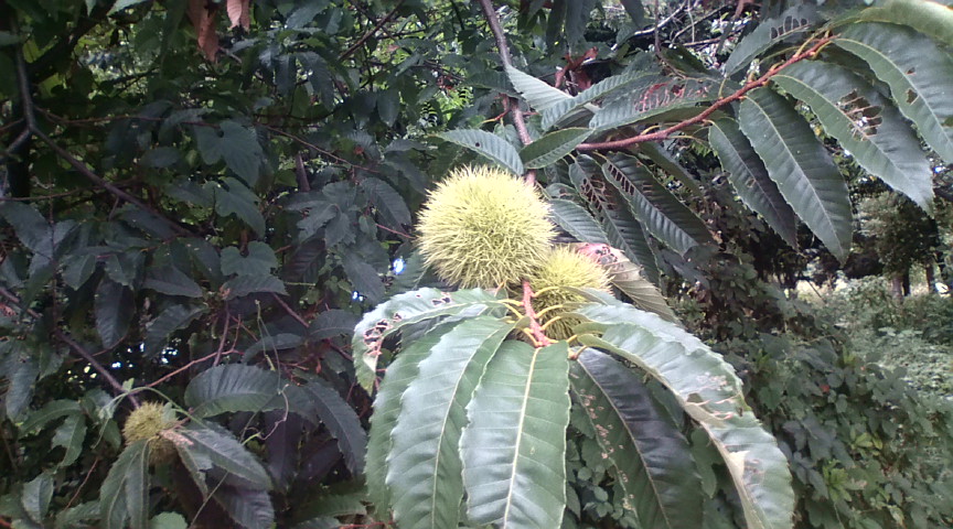 20100915160925.jpg