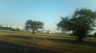 20100910161318.jpg