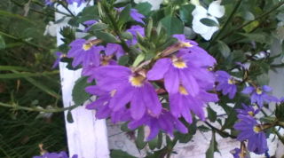 20100816174022.jpg