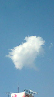 20101109144047.jpg