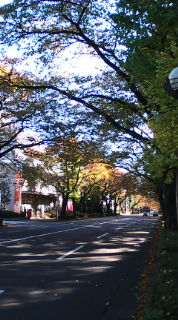 20101110090005.jpg