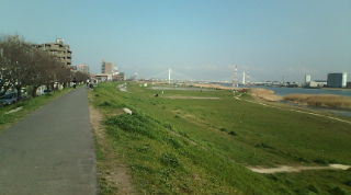20100312142019.jpg