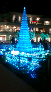 20101201211437.jpg