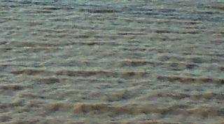 20101203143103.jpg