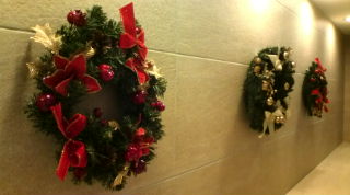 20101216220731.jpg
