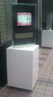 20101115135044.jpg