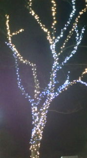 20110223191818.jpg
