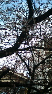 20110308122841.jpg