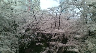 20110409173809.jpg