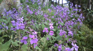 20110410073942.jpg