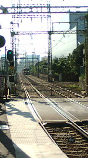 F1000176.jpg