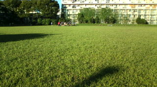 F1000206.jpg